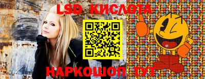 молекула духа Донецк