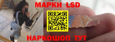 тгк Дубна