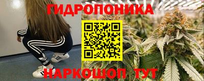 молекула духа Донецк
