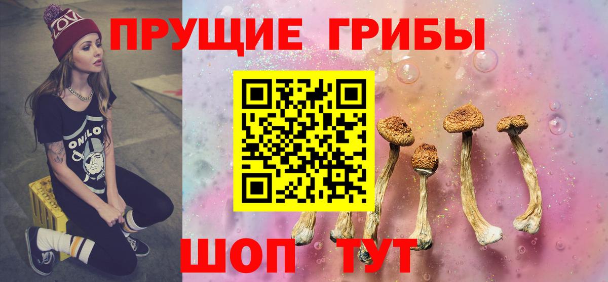 Псилоцибиновые грибы Psilocybe  Вход с VPN  Новоуральск  Псилоцибиновые грибы Psilocybine cubensis 